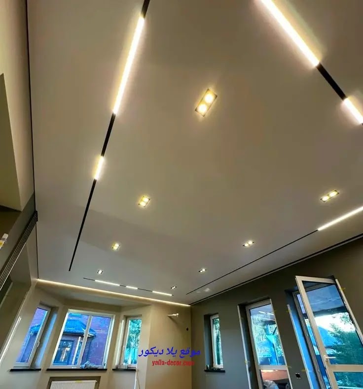 أشكال تراك لايت أفكار مميزة لتصميم إضاءة رائعة